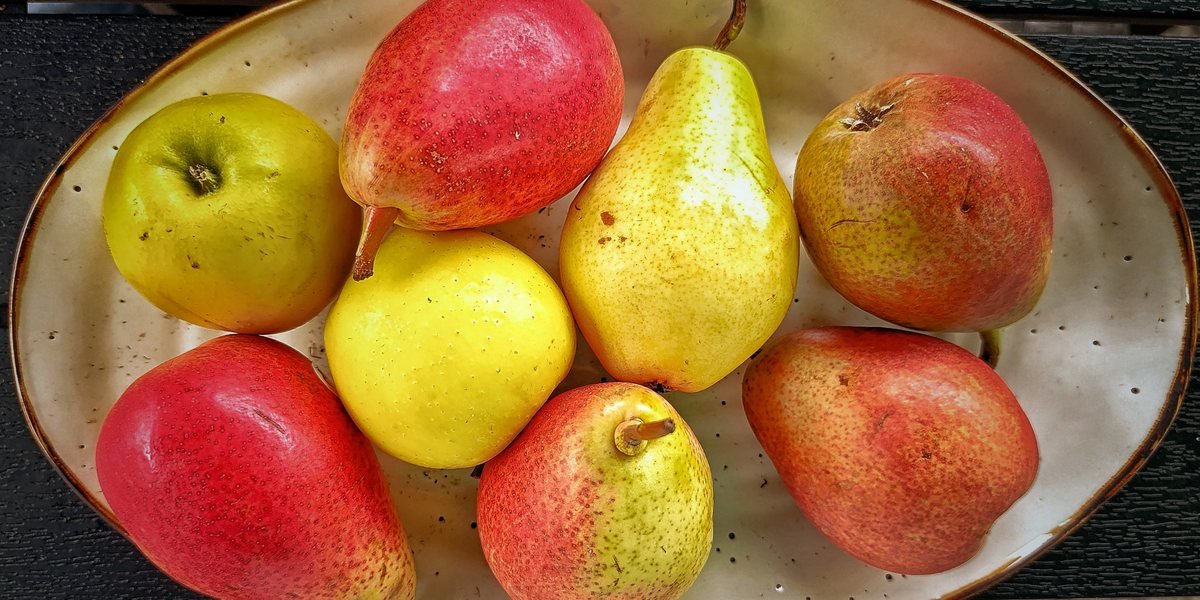 Mele e pere intere appoggiate su un piatto bianco, viste dall'alto